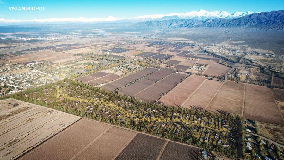 Terreno en Venta en Lujan de Cuyo, Mendoza
