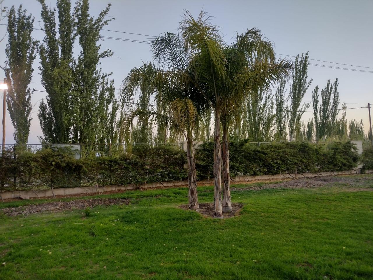 Terreno en Venta en Maipu, Mendoza